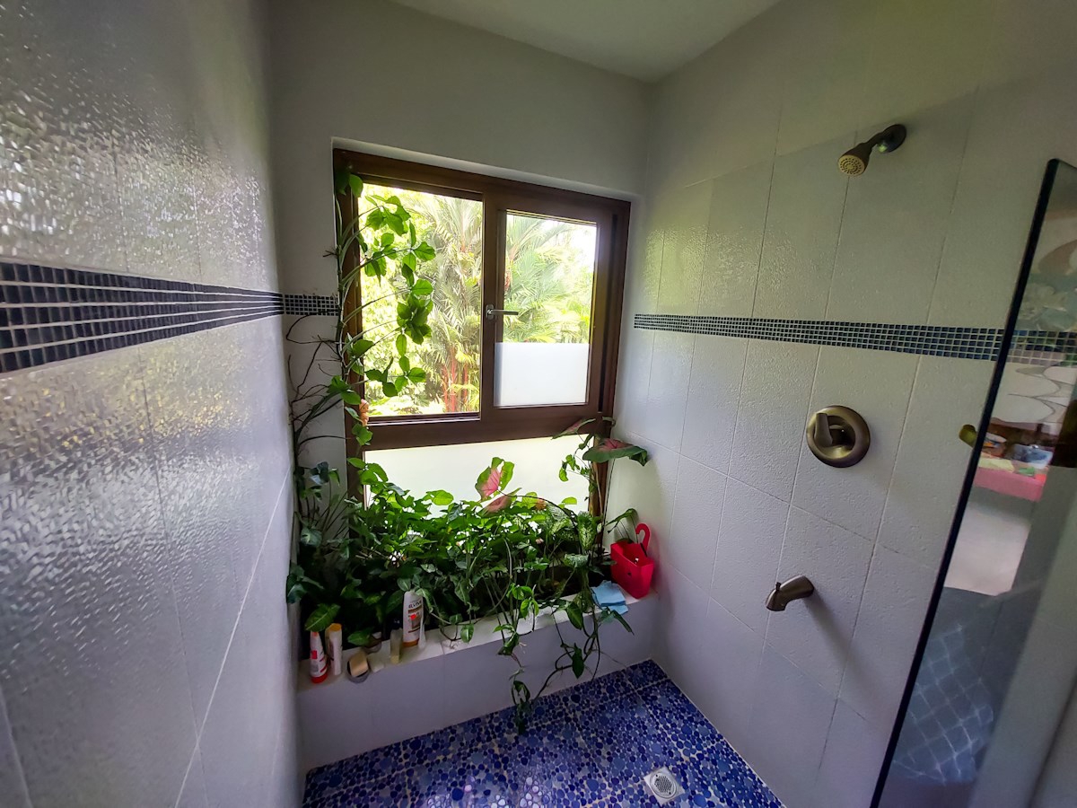 Luxury Home with Casita & Pool — Big Creek, Isla Colón - 28
