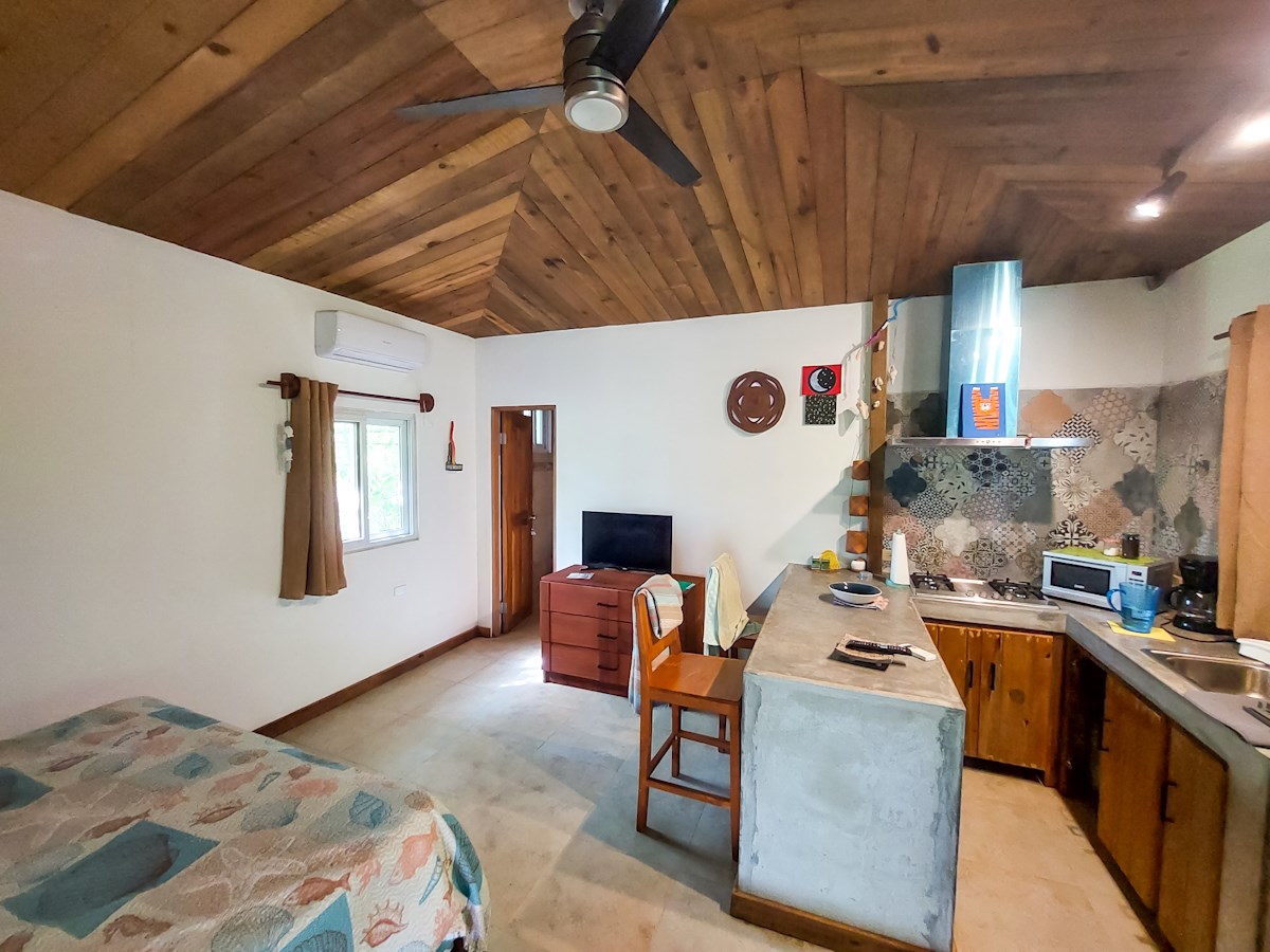 Luxury Home with Casita & Pool — Big Creek, Isla Colón - 29