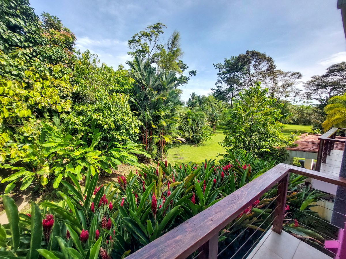 Luxury Home with Casita & Pool — Big Creek, Isla Colón - 25