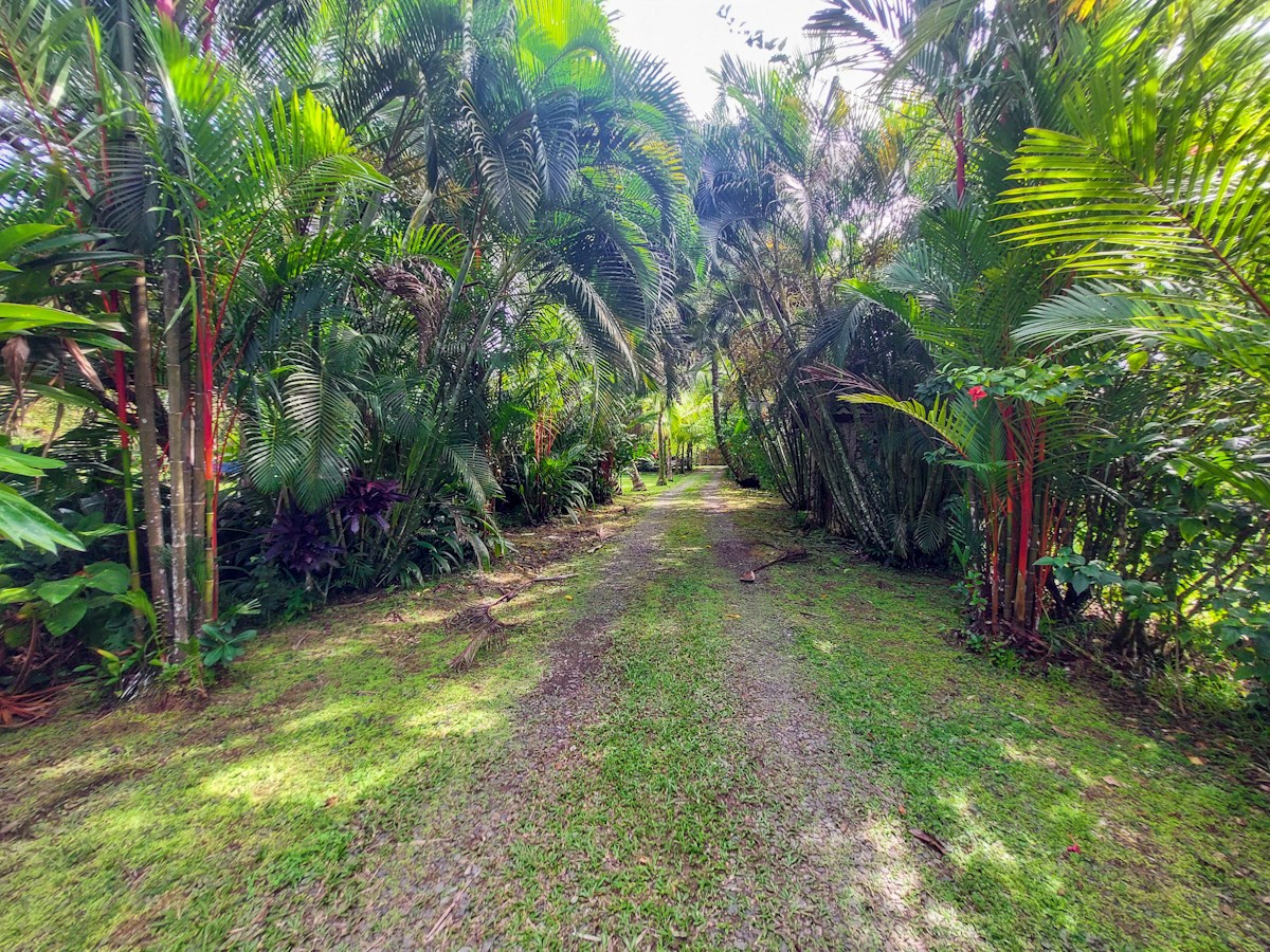 Luxury Home with Casita & Pool — Big Creek, Isla Colón - 35