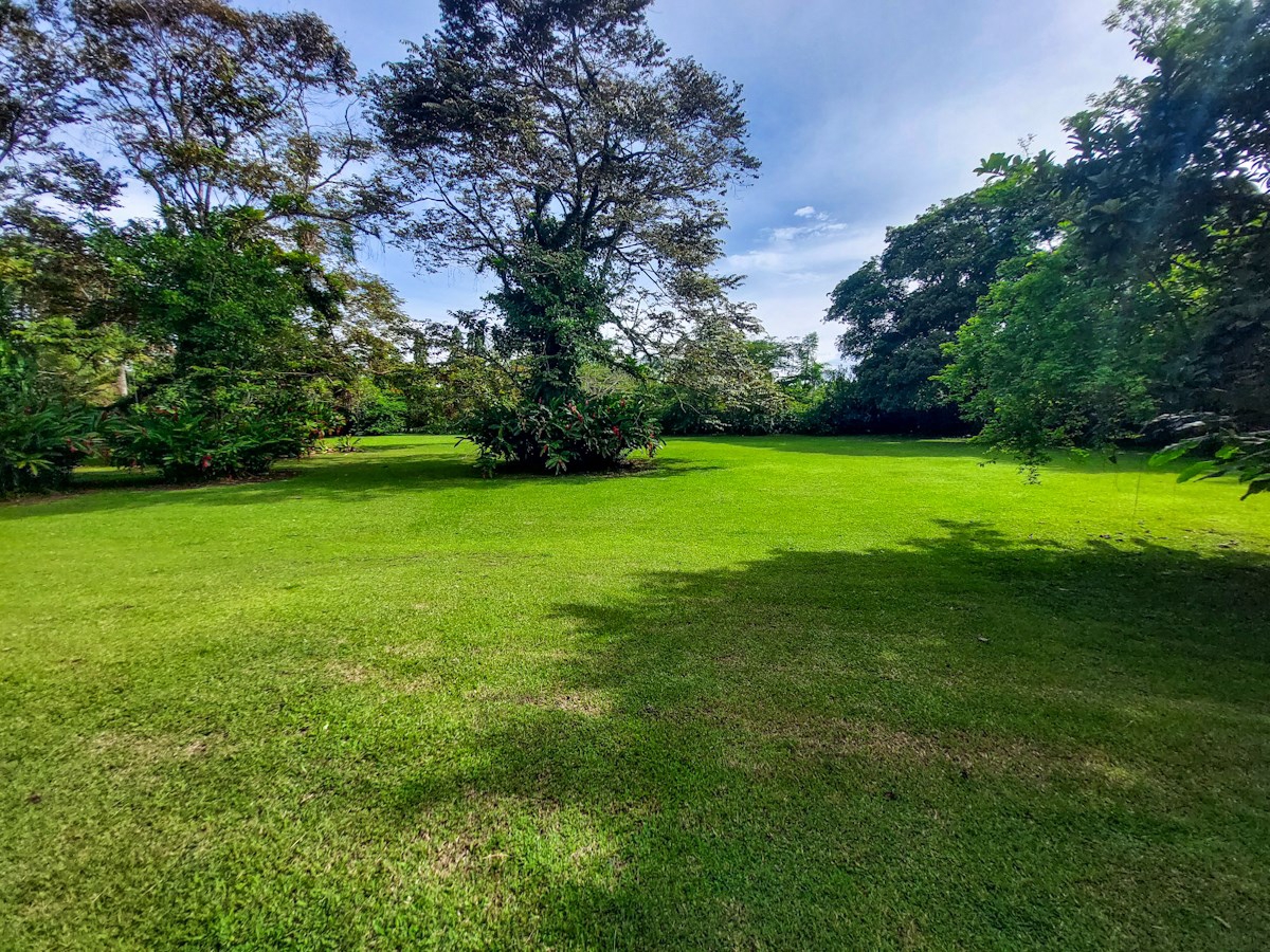 Luxury Home with Casita & Pool — Big Creek, Isla Colón - 3