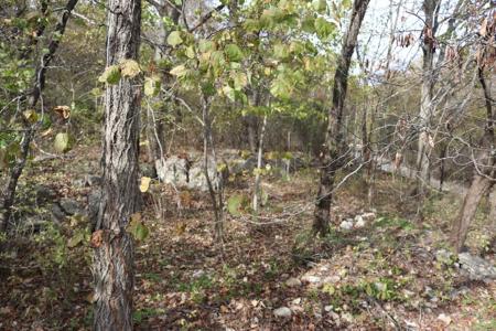 Getaway Cabin in the Ozark Mountains - image 25