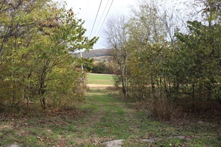 Getaway Cabin in the Ozark Mountains - image 21