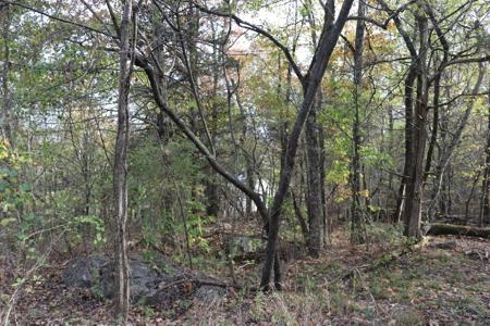 Getaway Cabin in the Ozark Mountains - image 30