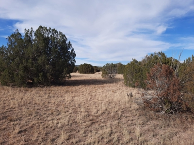 Huge Views - image 4