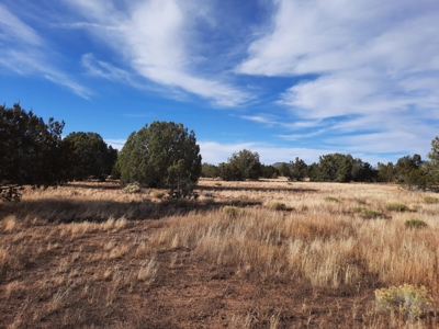 Huge Views - image 11