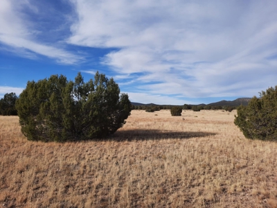 Huge Views - image 8