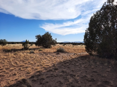 Huge Views - image 12