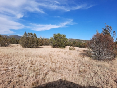 Huge Views - image 6