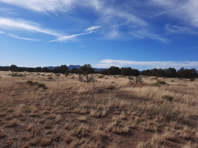 Huge Views - image 10