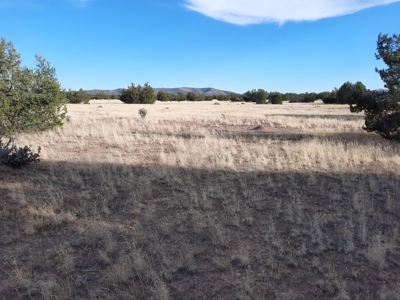 Huge Views - image 16