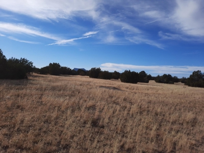 Huge Views - image 7