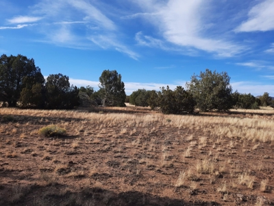 Huge Views - image 13