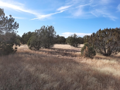Huge Views - image 1
