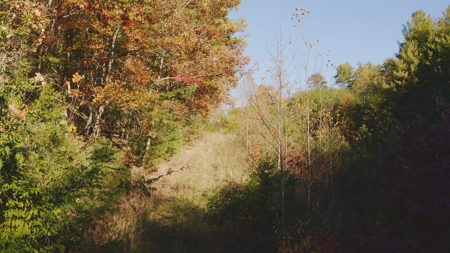 East TN Land Adjoining Cherokee National Forest For Sale - image 7
