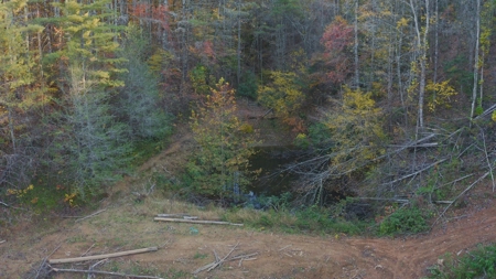East TN Land Adjoining Cherokee National Forest For Sale - image 4