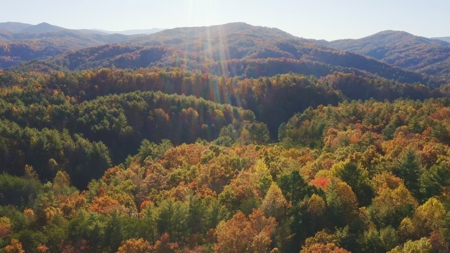 East TN Land Adjoining Cherokee National Forest For Sale - image 29