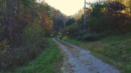 East TN Land Adjoining Cherokee National Forest For Sale - image 5