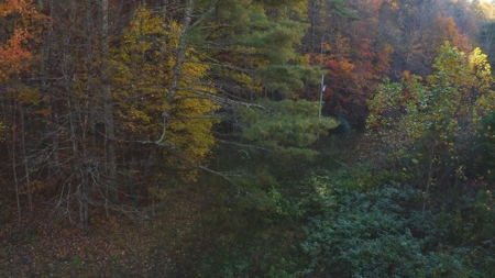 East TN Land Adjoining Cherokee National Forest For Sale - image 16