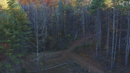 East TN Land Adjoining Cherokee National Forest For Sale - image 30