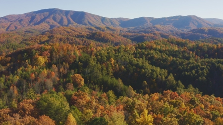East TN Land Adjoining Cherokee National Forest For Sale - image 1