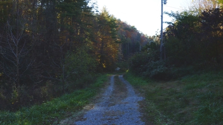 East TN Land Adjoining Cherokee National Forest For Sale - image 31
