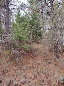 Creek Front Property on Rural Acreage in Northern CA - image 15