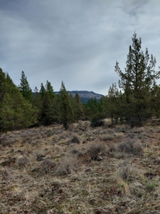 Creek Front Property on Rural Acreage in Northern CA - image 18