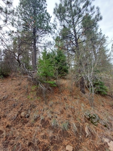 Creek Front Property on Rural Acreage in Northern CA - image 14