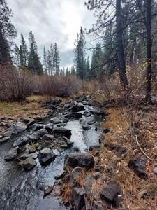 Creek Front Property on Rural Acreage in Northern CA - image 11