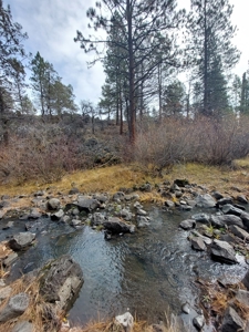 Creek Front Property on Rural Acreage in Northern CA - image 10