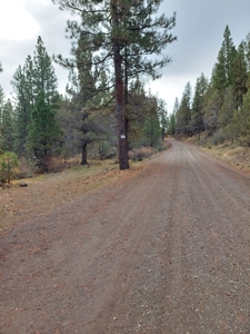 Creek Front Property on Rural Acreage in Northern CA - image 16