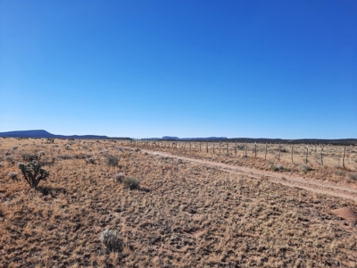 360 Views - image 7