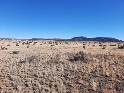 360 Views - image 4