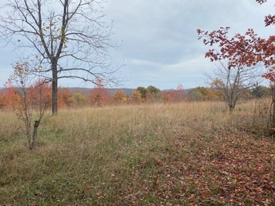 Boxley Valley Home/Acreage Bordering Buffalo River For Sale - image 23