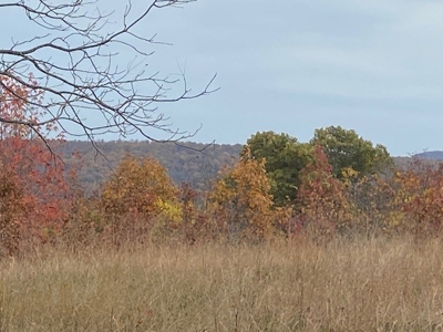 Boxley Valley Home/Acreage Bordering Buffalo River For Sale - image 22