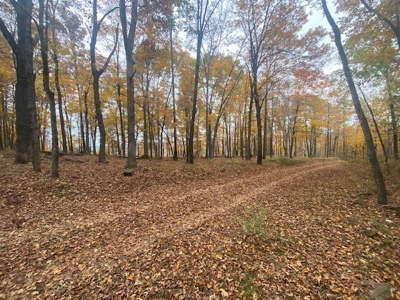 Boxley Valley Home/Acreage Bordering Buffalo River For Sale - image 5
