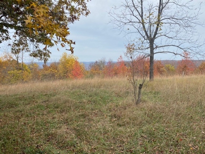 Boxley Valley Home/Acreage Bordering Buffalo River For Sale - image 2