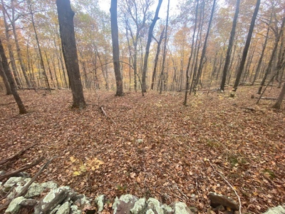 Boxley Valley Home/Acreage Bordering Buffalo River For Sale - image 17