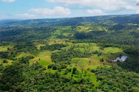 Costa Rica Riverfront Mountain Ranch and Farm Property - image 4