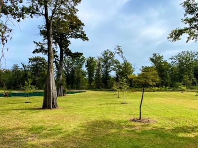 342 Acres First Class Hunting Land for Sale Concordia Parish - image 17