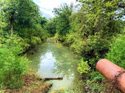 342 Acres First Class Hunting Land for Sale Concordia Parish - image 12
