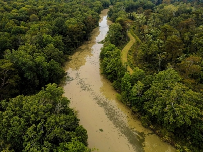 342 Acres First Class Hunting Land for Sale Concordia Parish - image 43