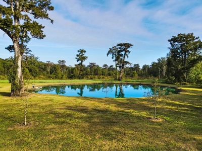 342 Acres First Class Hunting Land for Sale Concordia Parish - image 30