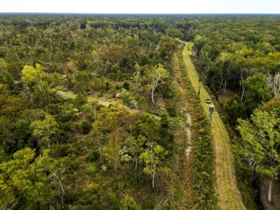 342 Acres First Class Hunting Land for Sale Concordia Parish - image 40