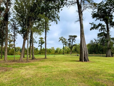 342 Acres First Class Hunting Land for Sale Concordia Parish - image 13