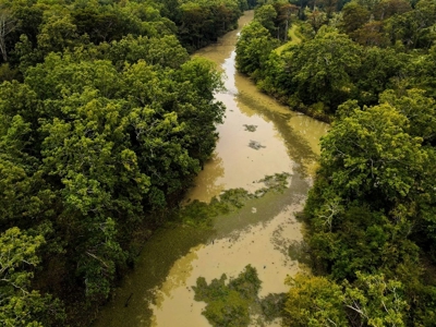 342 Acres First Class Hunting Land for Sale Concordia Parish - image 42