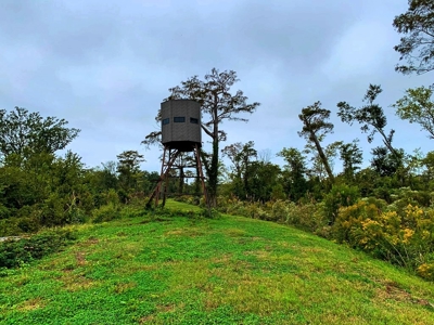 342 Acres First Class Hunting Land for Sale Concordia Parish - image 7