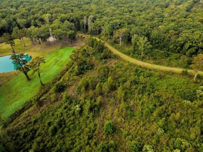 342 Acres First Class Hunting Land for Sale Concordia Parish - image 33