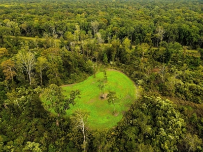 342 Acres First Class Hunting Land for Sale Concordia Parish - image 37